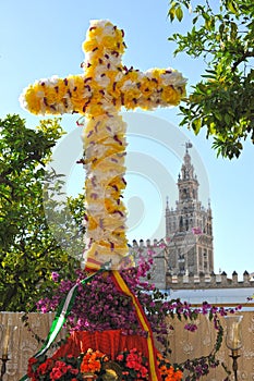 Cross of May, Giralda of Seville, Spain