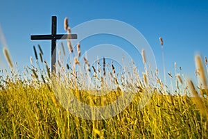 Cross on meadow