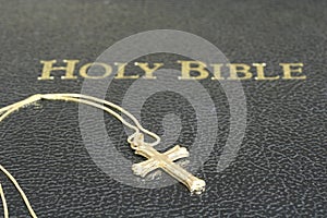 Cross Necklace and Bible