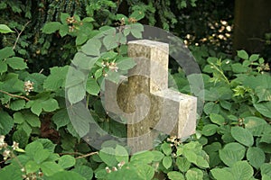 Cross overgrown with brambles