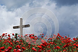 Cross on Poppy Knoll photo