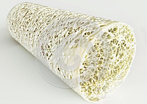 Cross section of an advanced osteoporosis -high details - Stage 4 - 3d rendering