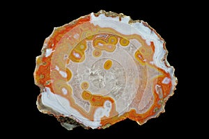 A cross-section of agate