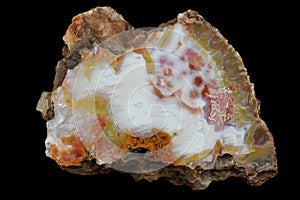 A cross-section of agate