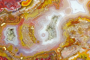 A cross-section of the agate.