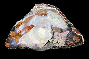 A cross-section of agate.