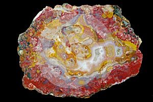 A cross-section of agate.