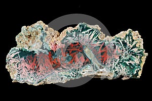 A cross section of the agate stone