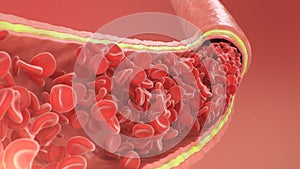 Cross section artery view. Red blood cells inside an artery, vein. Healthy blood flow. Scientific and medical concept