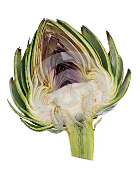 Cross section of artichoke isolated over a pure white background