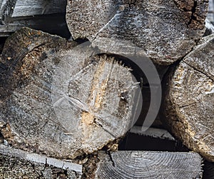 The cross - section of the background is made of old wooden beams . Wooden tree background