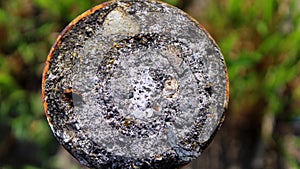 Cross section of cast cement in the iron pipe