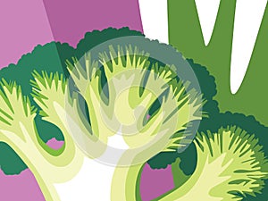 Cross section and close-up of Broccoli florets.