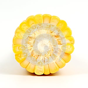 Cross section of corn