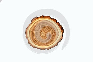 Cross-section of a cut tree trunk with a wavy pattern of annual rings