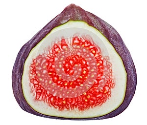 Cross-section of fig tree fruit