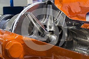 Cross Section of gear pump