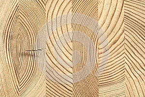 Cross-section of glued wooden timber of pine.
