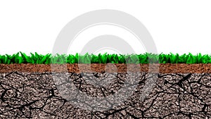 Cross section of grass and dry cracked soil