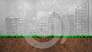 Cross section of grass and soil