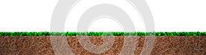 Cross section of grass and soil