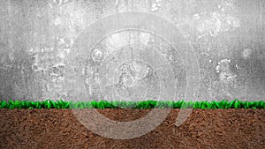 Cross section of grass and soil, on gray concrete wall background