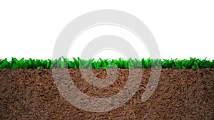 Cross section of grass and soil