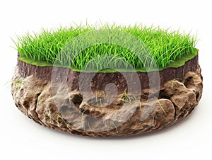 Cross-section of grassy soil