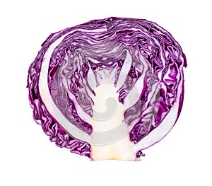 Cross-section of head of red cabbage cut out