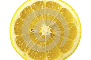 Cross-section of lemon