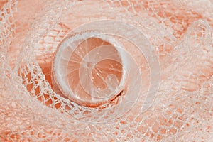 Cross section lemon pink slice background close-up net netting packing package