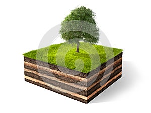 Cross section of little island. 3D rendering