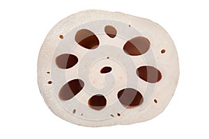 cross-section of lotus root