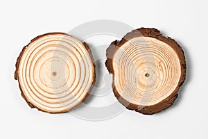 Cross section of oak grove tree trunk showing growth rings isolated on white background.