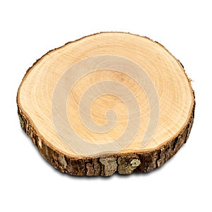 Cross section of oak tree, isolated. Wood textures. Tree trunk close-up.