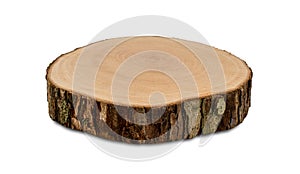 Cross section of oak tree, isolated. Wooden textures. Tree trunk close-up.