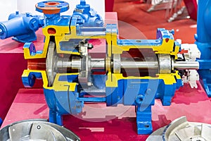 Cross section present detail component inside centrifugal pump for industrial such as vane or impeller rotor shaft bearing housing