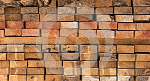 Cross section of sawn timber