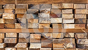 Cross section of sawn timber