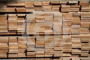 Cross section of sawn timber