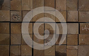 Cross section of sawn timber