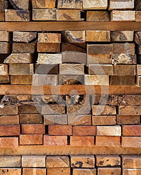 Cross section of sawn timber
