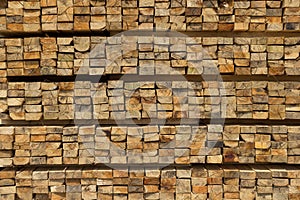 Cross section of sawn timber