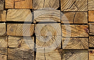 Cross section of sawn timber