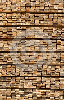 Cross section of sawn timber