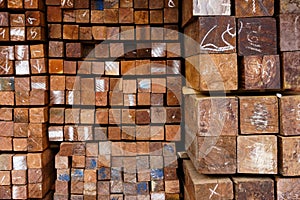 Cross section of sawn timber,Selection of freshly sawn timber material