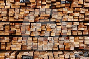 Cross section of sawn timber,Selection of freshly sawn timber material