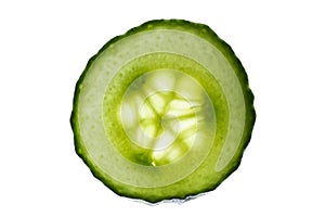 Cross section slice of fresh cucumber isolated on white