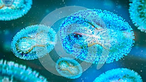 Cross section of a smallpox pathogen with cell membrane, nucleocapsid, cell wall and glycoproteins