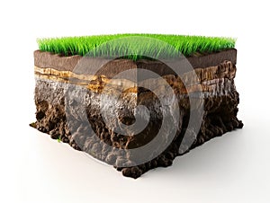 Cross-section of Soil Layers with Grass